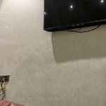 Profile picture of testers